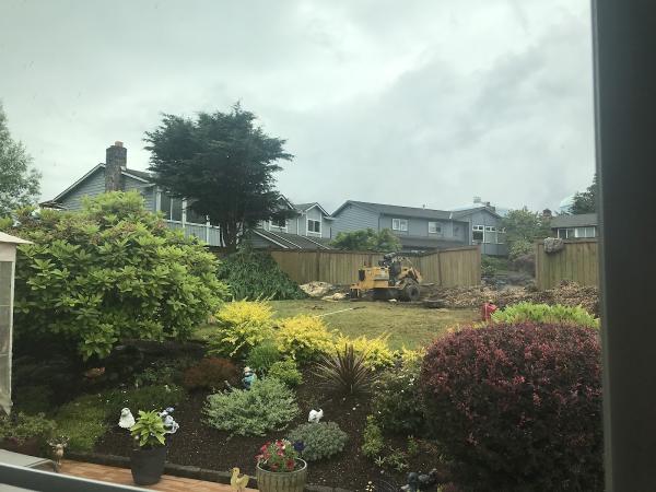 Pacific Tree Services