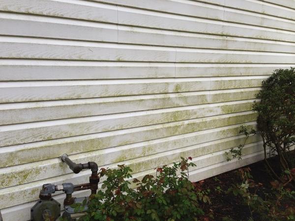 William Gallagher Contracting