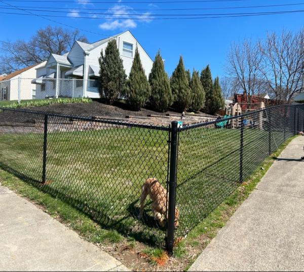 D&K Fence & Lawncare