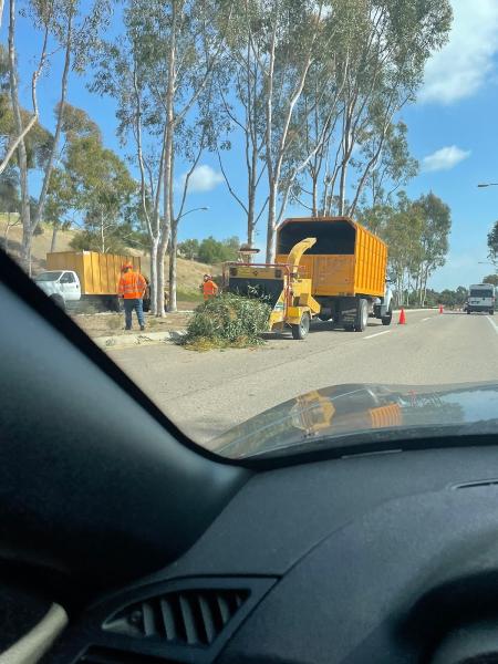 Arborsd Tree Service