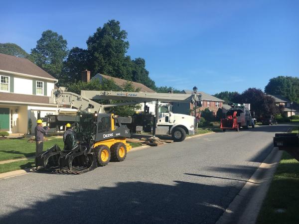 Greenline Lawn and Landscape
