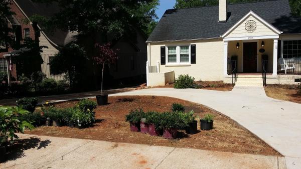 Solomon's Landscape & Design