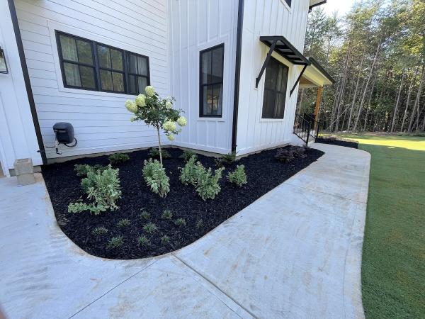 Solomon's Landscape & Design