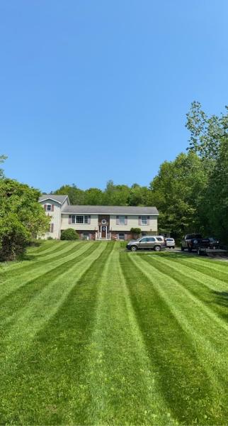 Trae's Lawn Care