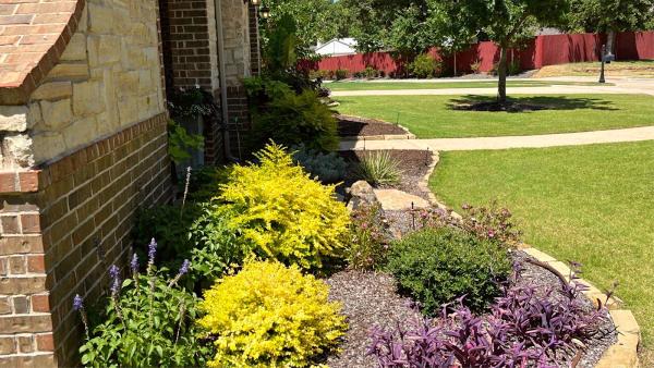 Premier Oaks Landscape Management