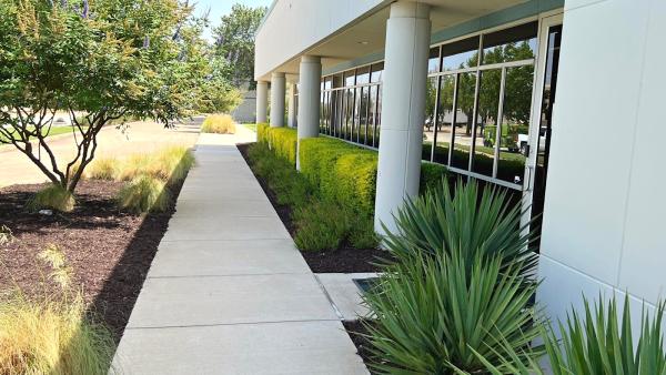 Premier Oaks Landscape Management