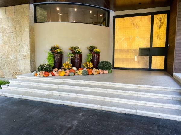 Premier Oaks Landscape Management