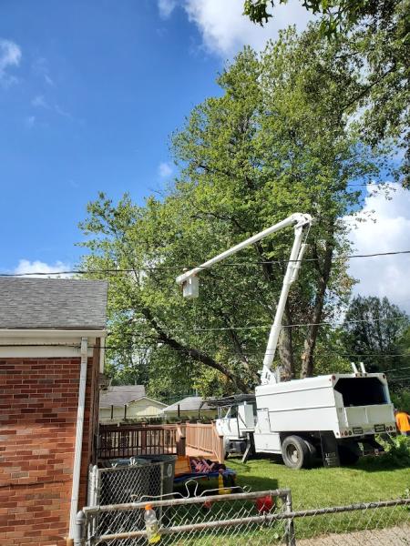 BT Lawn & Tree Service
