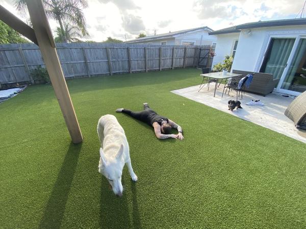 Durafield Synthetic Lawns