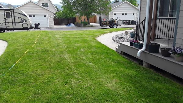 Nuzzo Lawn and Forest Care