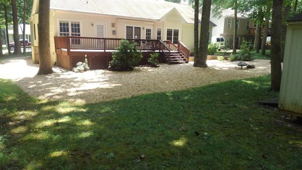Premier Arbor Services LLC
