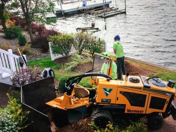 Stumped LLC