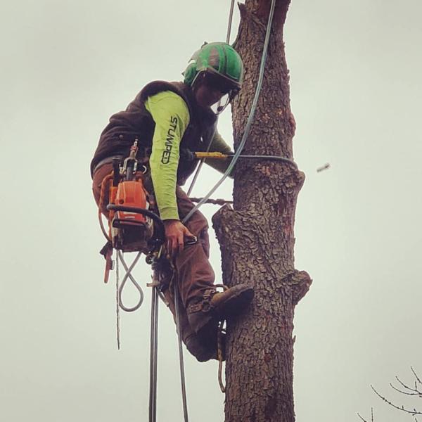 Stumped LLC