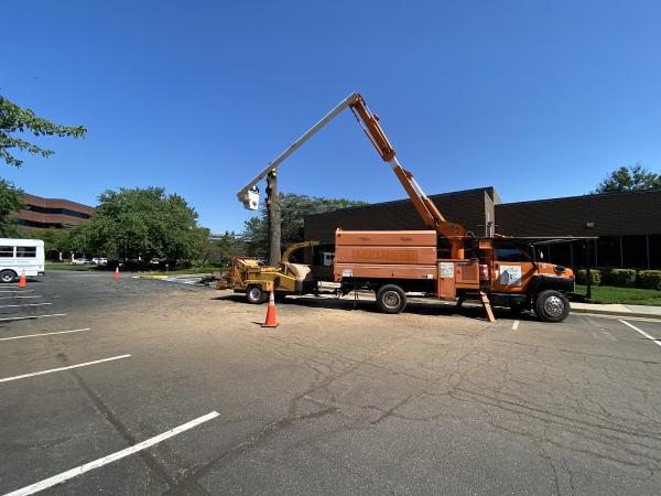 Franky's Tree Care LLC