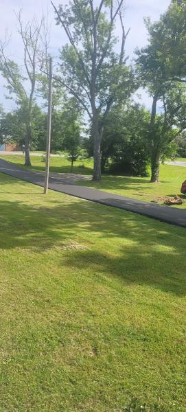 American Asphalt Paving & Seal Coating