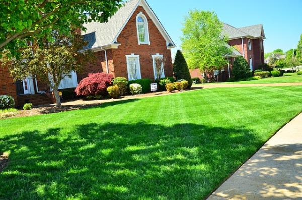 Ivy Green Lawn Care LLC