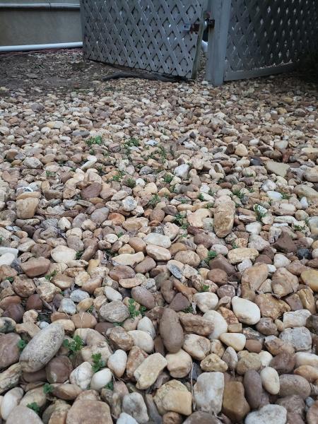 Ivy Green Lawn Care LLC