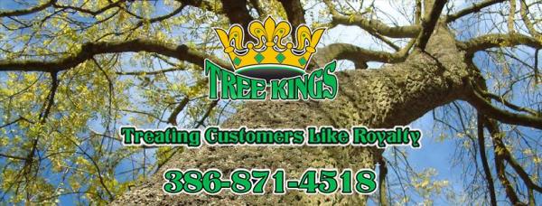 Tree Kings Florida