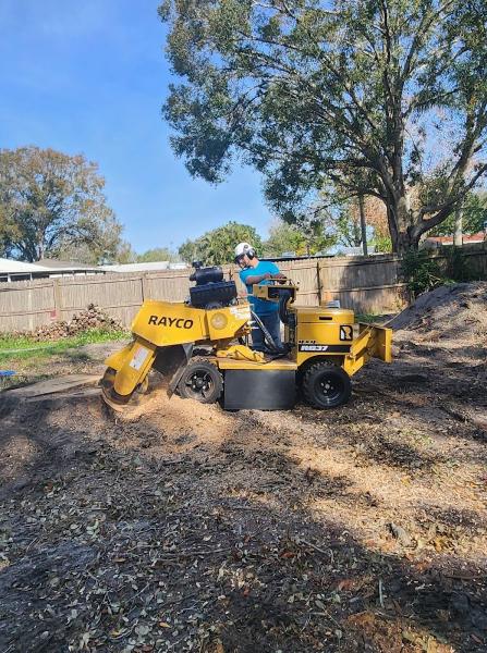 Gulf Coast Arborist