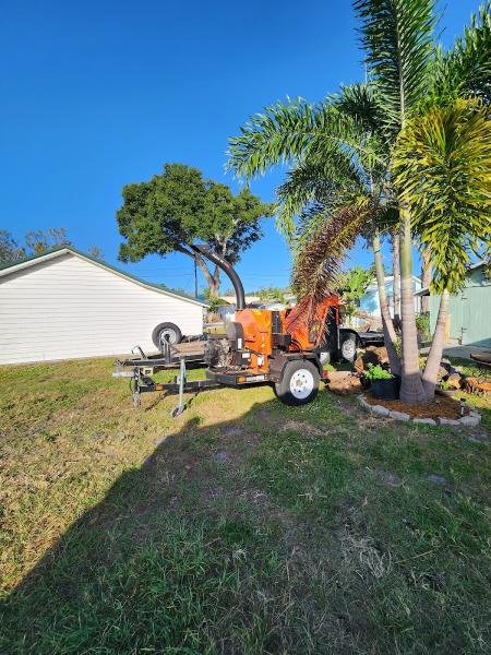 Gulf Coast Arborist