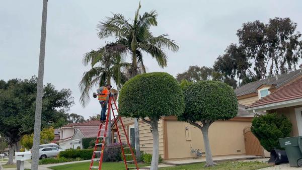 Josgreen Landscaping