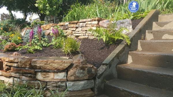 Teva Landscaping