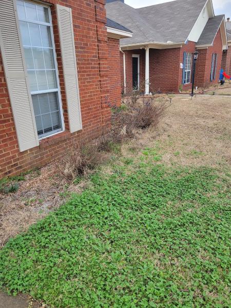 Affordable Lawn Service
