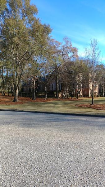 Affordable Lawn Service