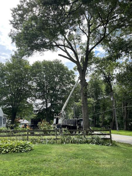 Sprigs & Twigs Landscaping