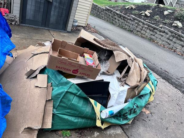 Bye Junk