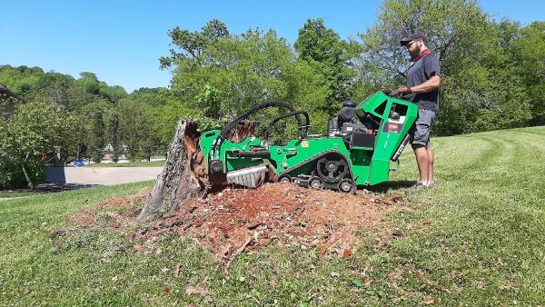 Ottos Stump Grinding