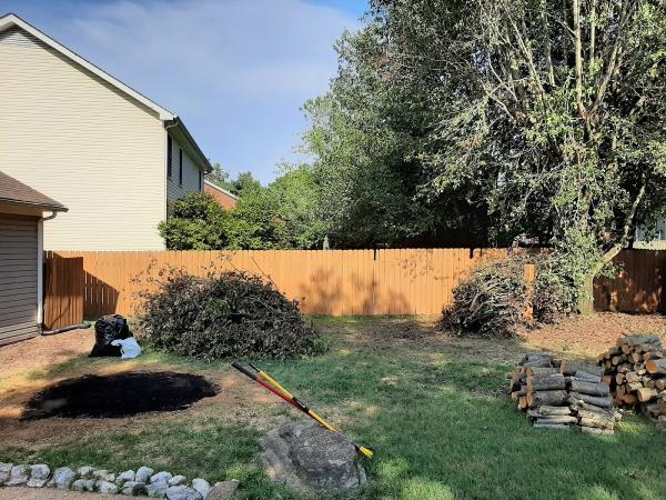 Ottos Stump Grinding