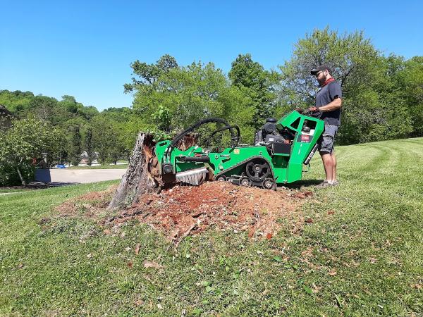 Ottos Stump Grinding