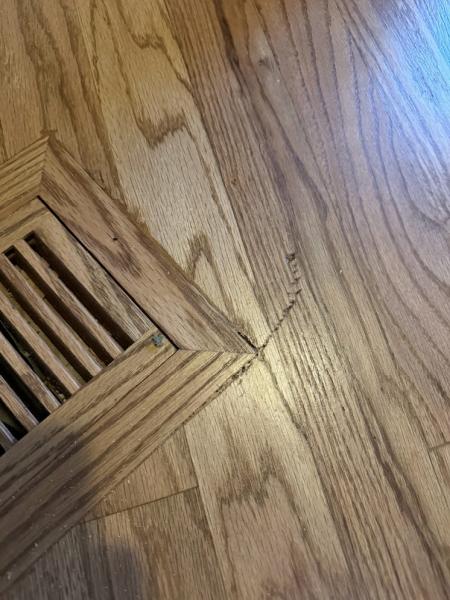 Colorado Hardwood Floors
