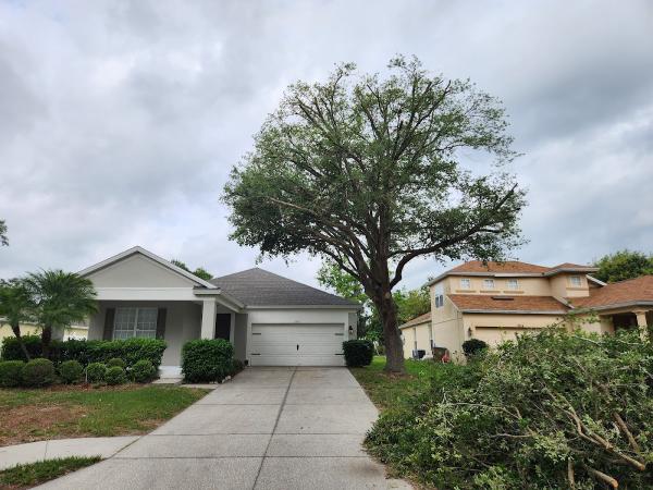 Premier Outdoor Tree Services