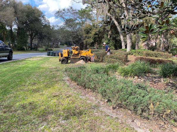 Comly's Stump Grinding