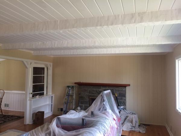 Fino Painting Services