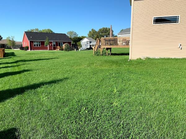 Haynes Snow Removal & Lawn Care LLC
