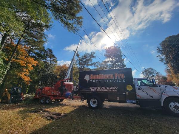 Southern Pro Tree Service