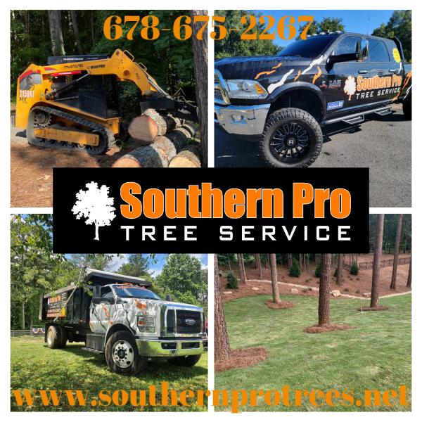 Southern Pro Tree Service