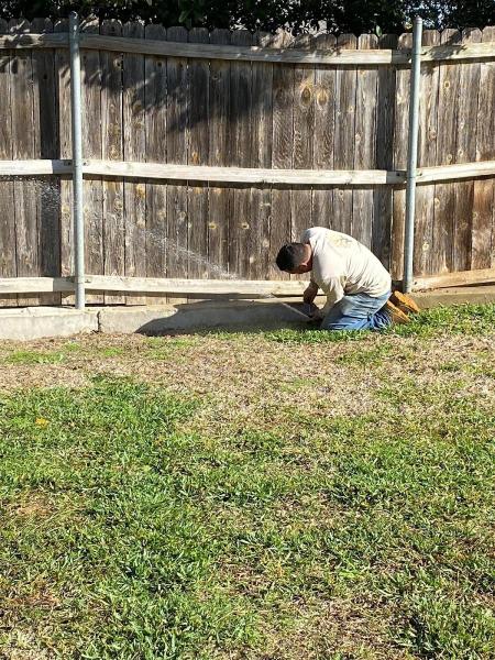 Taproots Lawn Care and Landscaping