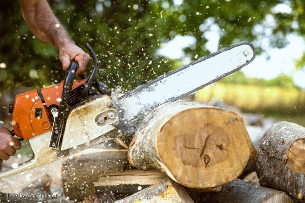 Atlanta Classic Tree Service