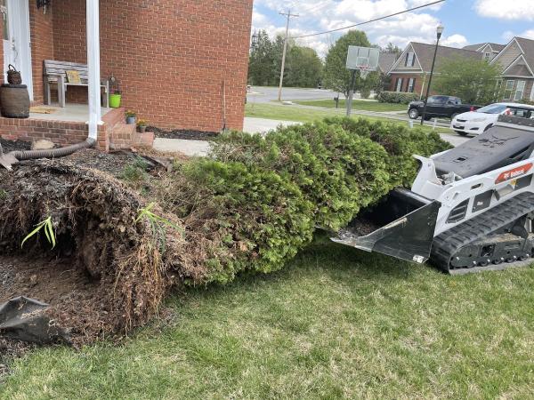 Southeast TN Lawn Care