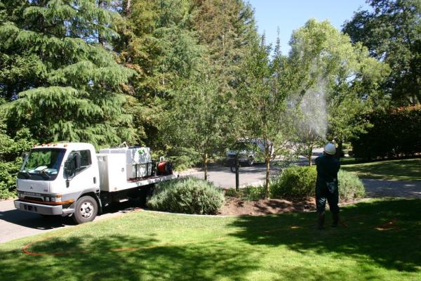 Acorn Arboricultural Services Inc