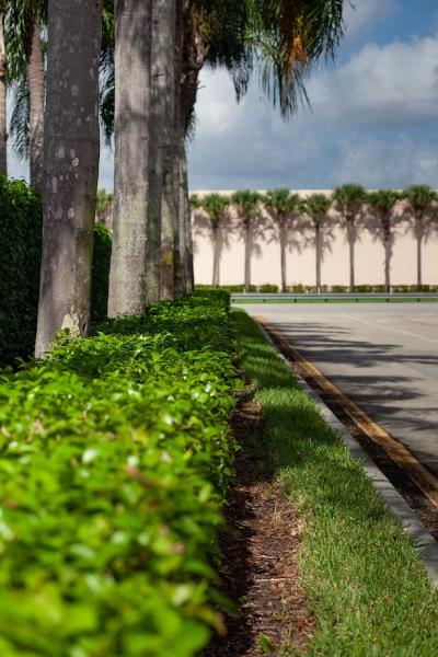 Design & Cut Landscape Services Inc