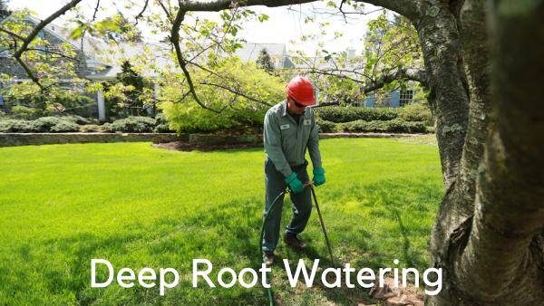 Colorado Premier Tree Care