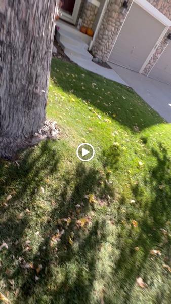 Colorado Premier Tree Care