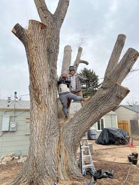Colorado Premier Tree Care