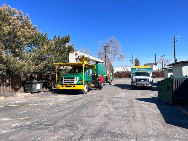 Colorado Premier Tree Care