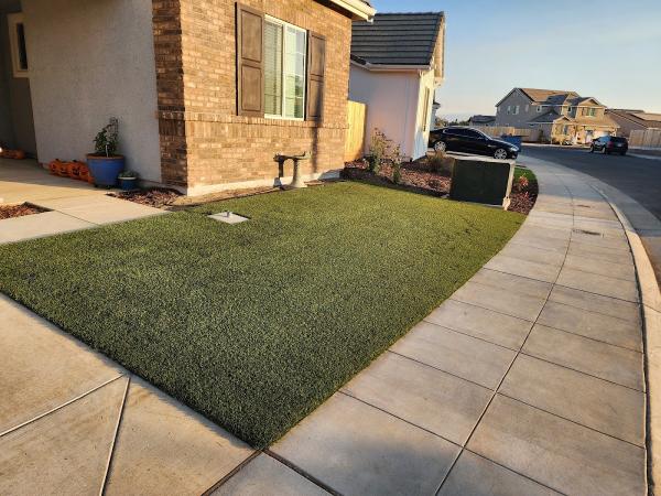 Synlawn Central California